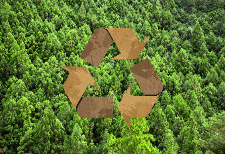 Guide FSC, EUDR et PEFC pour l'approvisionnement en fournitures de restauration jetables